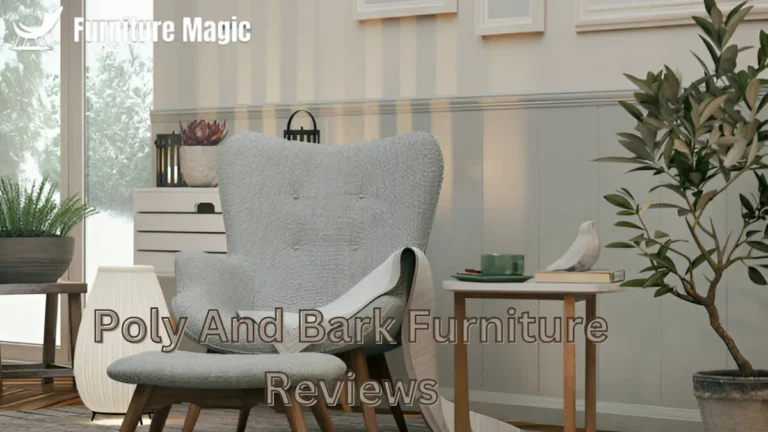 Poly And Bark Furniture Reviews